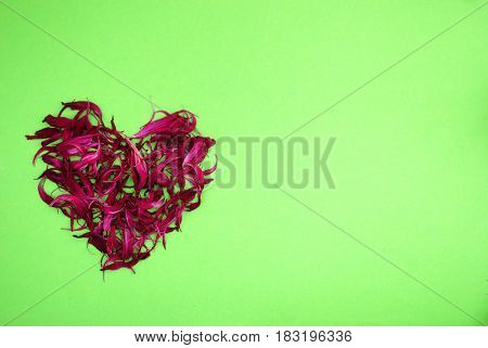 Heart of dried blue flowers on bright green background
