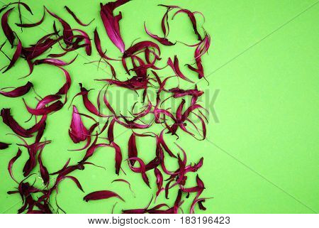Repeatable petals in red on a green background
