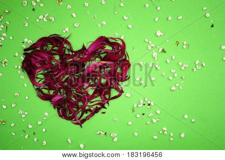Composition of  petals in red on a green background