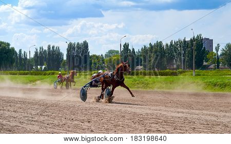 horse racing of galloping horses legs on hippodrome track