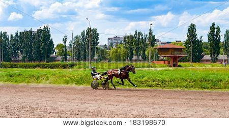 horse racing of galloping horses legs on hippodrome track