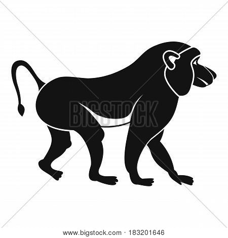 Japanese macaque icon. Simple illustration of japanese macaque vector icon for web