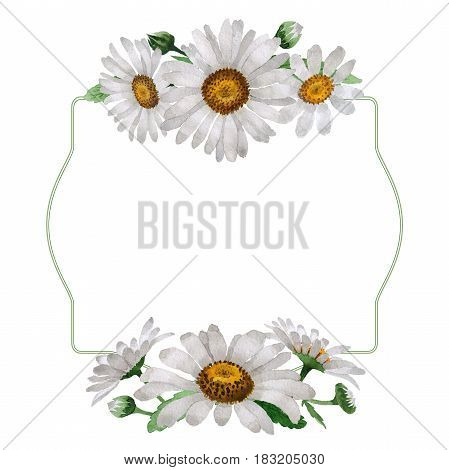 Wildflower chamomile flower frame in a watercolor style isolated. Full name of the plant: chamomile, daisy wheel .Aquarelle wild flower for background, texture, wrapper pattern, frame or border.