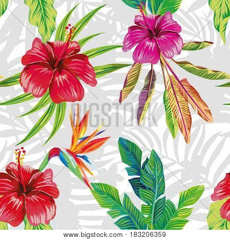 Seamless vector pattern composition made from hibiscus flowers and a bird of paradise with tropical banana leaves on a gray and white foliar background