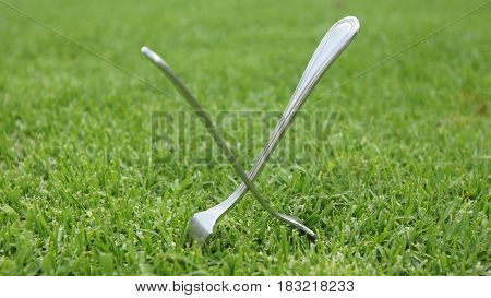 Forks eaten nailed on the lawn of a garden. This is a kabala so it does not rain, an old popular belief
