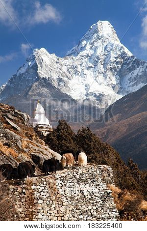 View of Ama Dablam with stupa and caravan of yaks - way to Everest base camp - Sagarmatha national park - Nepal