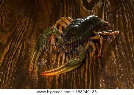 Live Crawfish On A Wooden Board
