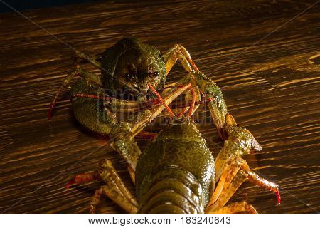 Live Crawfish On A Wooden Board