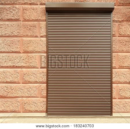 Door with roller shutters
