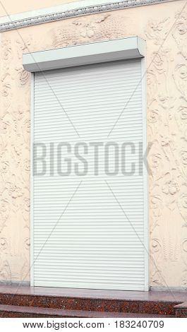 Door with roller shutters