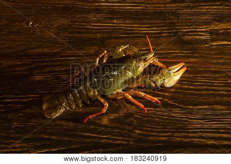 Live Crawfish On A Wooden Board