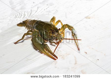 Live Crawfish On A Wooden Board