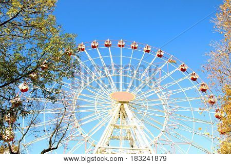 A colorful ferris wheel in amusement park. Autumn park.
