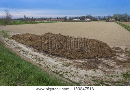 Fertilizer from cow manure and straw. Heap of manure have been taken out on the field in early spring to fertilize fields.