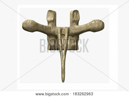 Human vertebra isolated on white background, 3D rendering