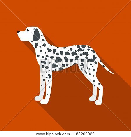 Dalmatian vector illustration icon in flat design