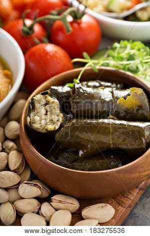 Dolmades, Stuffed Grape Leaves with rice and lemon filling