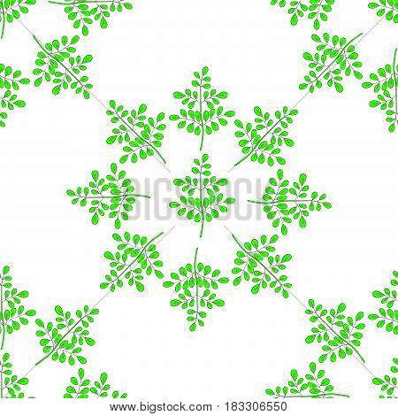 Moringa oleifera medicinal plant. Hand drawn botanical sketch illustration in color seamless pattern.