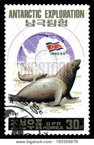 STAVROPOL RUSSIA - April 25 2017: a stamp printed in North Korea shows seals Antarctic research station North Korea circa 1991