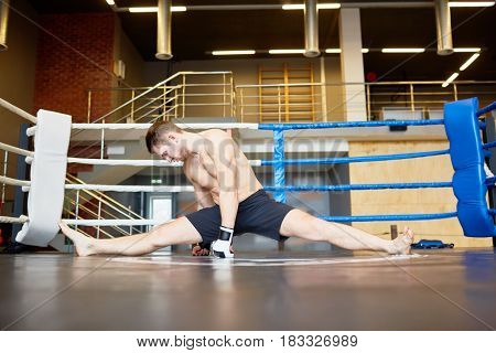 Portrait of muscular athlete stretching muscles in sports training, performing splits on floor in boxing ring