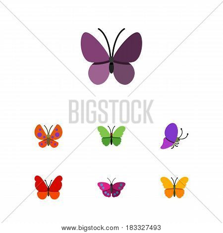 Flat Moth Set Of Archippus, Milkweed, Moth And Other Vector Objects. Also Includes Insect, Butterfly, Moth Elements.