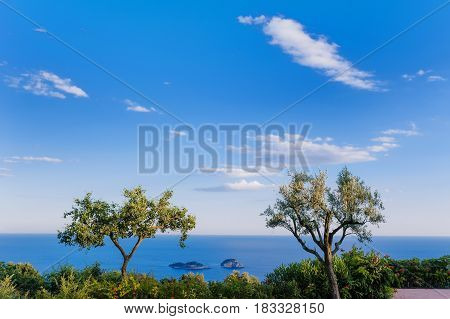 Scenic view of two trees sky sea and Li Galli islands on Amalfi Coast Italy Europe