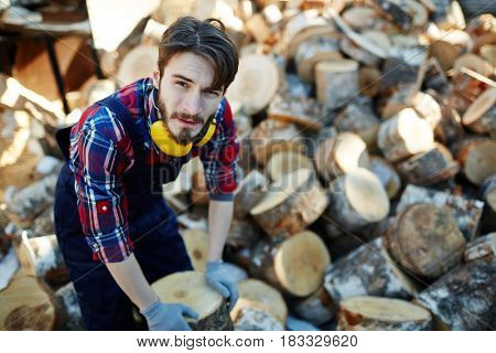 Young forester working with tree stumps