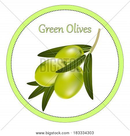 Round label or sticker with a realistic branch of green olives. Vector illustration on white background.