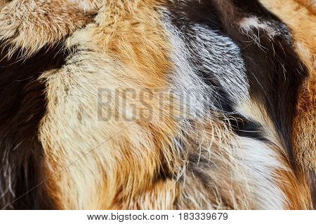 Bed cover made of natural fur background