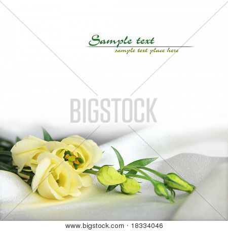  Güzel flovers (metni kaldırmak için kolay)