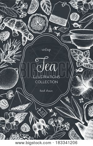 Vector card design with hand drawn tea illustration. Decorative inking background with vintage tea sketch. Sketched template