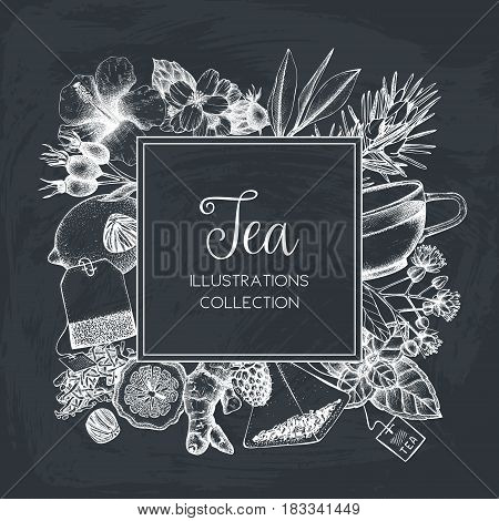 Vector card design with hand drawn tea illustration. Decorative inking background with vintage tea sketch. Sketched template