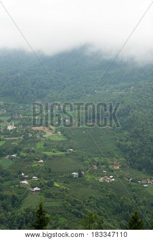 Macahel Valley In Eastern Black Sea, Artvin, Turkey.