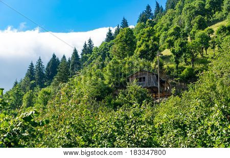 Macahel Valley In Eastern Black Sea, Artvin, Turkey.