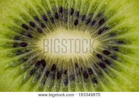 Kiwi fruit cuted in a half top macro view, close-up