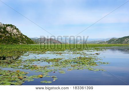 Lake Skadar National Park, Montenegro. Beautiful nature