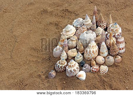 sea shells in the sand building a city with towers