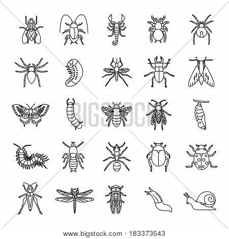 25 Insects outlines vector icons set collection