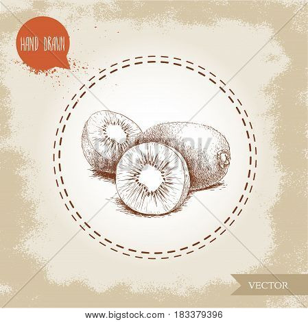 Hand drawn sketch style kiwi fruits group vector illustration. Vintage design isolated on grunge background.