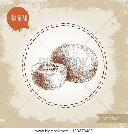 Hand drawn sketch style kiwi fruit vector illustration. Vintage design isolated on grunge background.