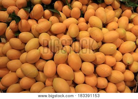 Heap of Vibrant Orange Yellow Fresh Ripe Marian Plum, Tasty Tropical Fruits of Thailand