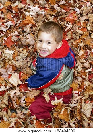 Cute todder boy smiling up after jumping in a pile of orange autumn leaves outdoor fun concept