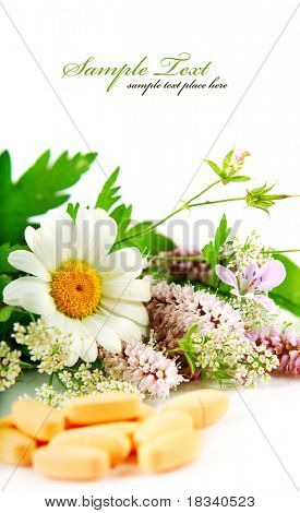 Bouquet di margherite e pillole arancioni in fondo bianco (DOF selettiva)