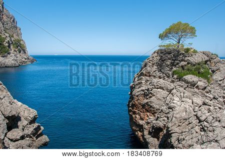 Cliff in the bay Sa Calobra, Mallorca, Spain