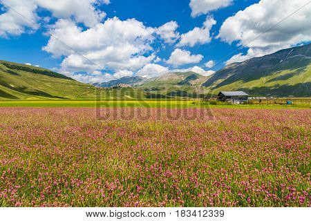 Piano Grande Mountain Plateau, Umbria, Italy