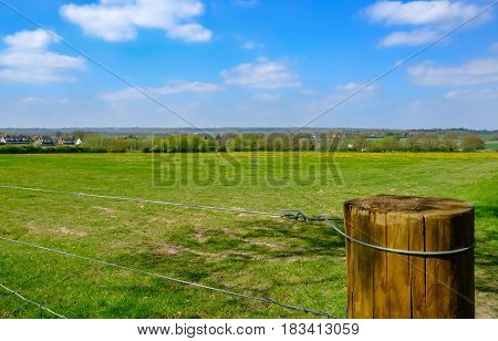 Fence post and meadow beyond in Spring with dandelions.