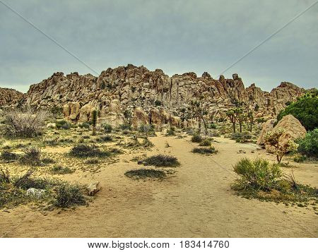 Rock formations of Joshua Tree National Park - California