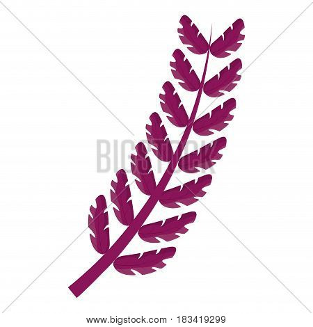 tropical flower icon over white background. colorful desing. vector illustration