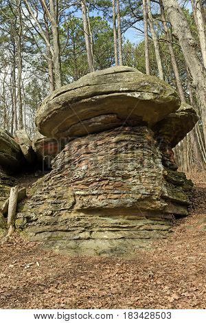 Mushroom Rock in the Forest in Garden of the Gods in Shawnee National Forest in Illinois