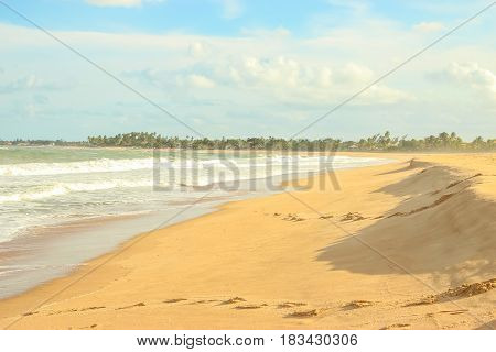 Paradise Beach On South America Brazil With Waves, Brown Sand And Coconut Trees On The Background.